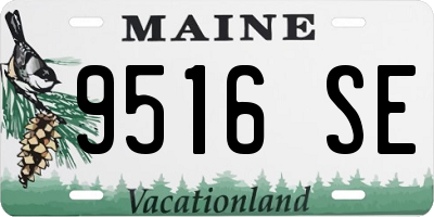 ME license plate 9516SE