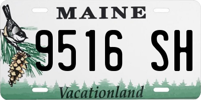 ME license plate 9516SH