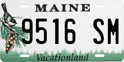 ME license plate 9516SM