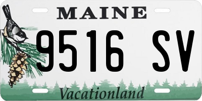 ME license plate 9516SV