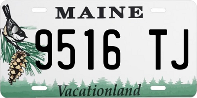 ME license plate 9516TJ