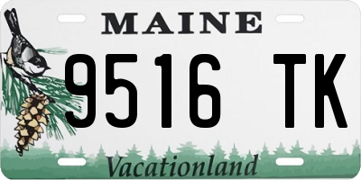 ME license plate 9516TK