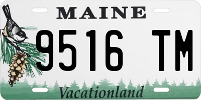 ME license plate 9516TM