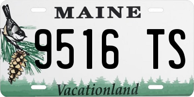 ME license plate 9516TS
