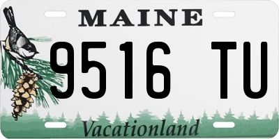 ME license plate 9516TU