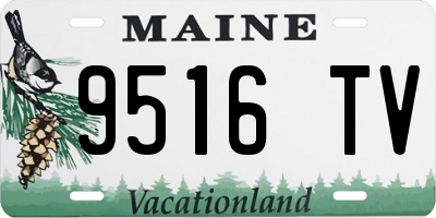 ME license plate 9516TV