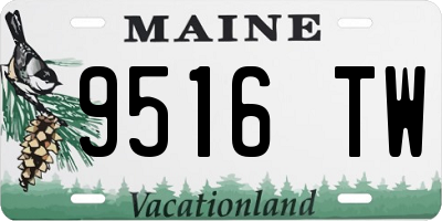 ME license plate 9516TW