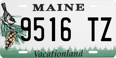ME license plate 9516TZ