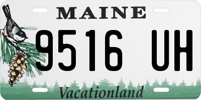 ME license plate 9516UH