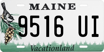 ME license plate 9516UI