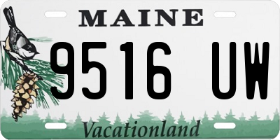 ME license plate 9516UW