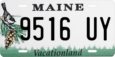 ME license plate 9516UY