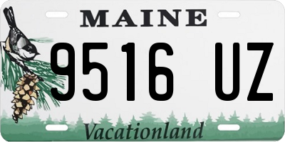 ME license plate 9516UZ