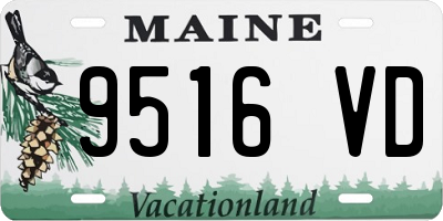 ME license plate 9516VD