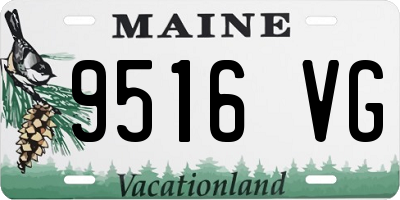 ME license plate 9516VG