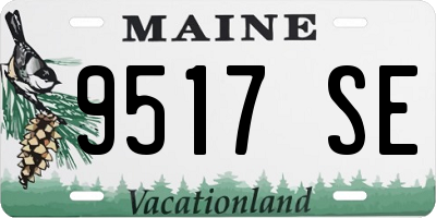 ME license plate 9517SE