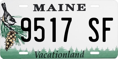ME license plate 9517SF