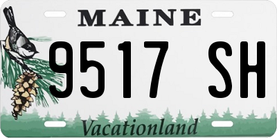 ME license plate 9517SH