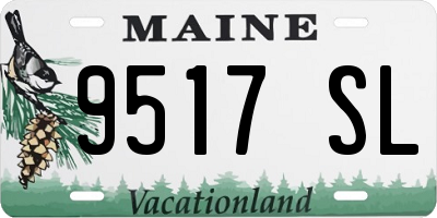 ME license plate 9517SL
