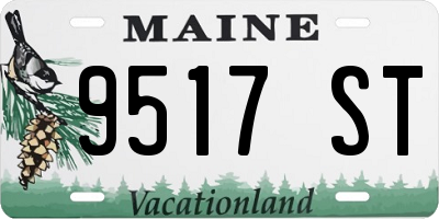 ME license plate 9517ST