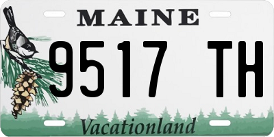 ME license plate 9517TH
