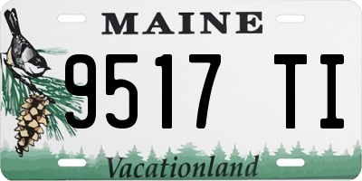 ME license plate 9517TI
