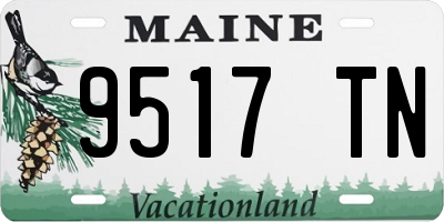 ME license plate 9517TN