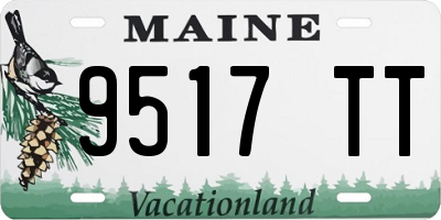 ME license plate 9517TT