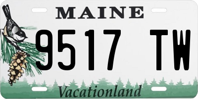 ME license plate 9517TW