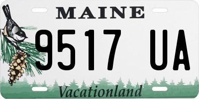 ME license plate 9517UA