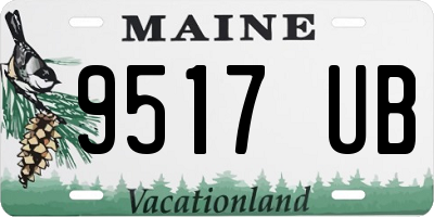 ME license plate 9517UB