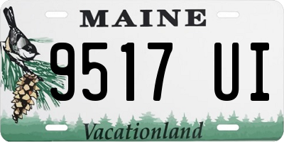 ME license plate 9517UI