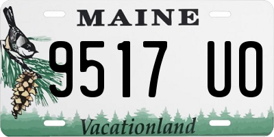 ME license plate 9517UO