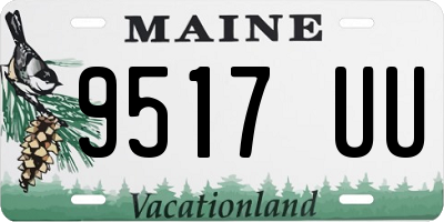 ME license plate 9517UU