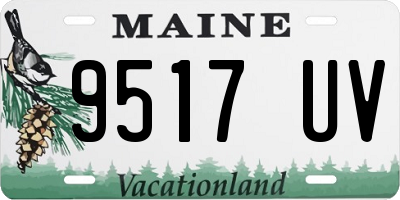 ME license plate 9517UV