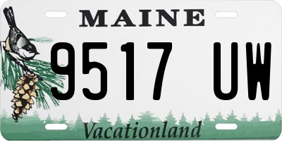 ME license plate 9517UW