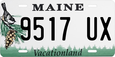 ME license plate 9517UX