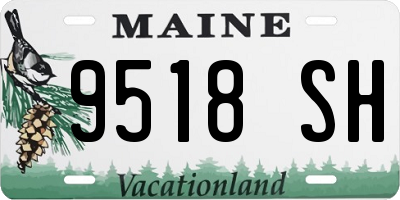 ME license plate 9518SH