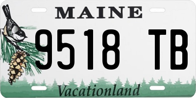 ME license plate 9518TB