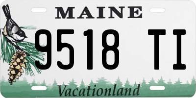 ME license plate 9518TI