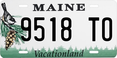 ME license plate 9518TO