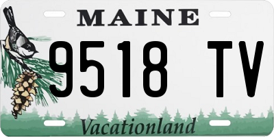 ME license plate 9518TV