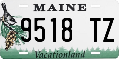 ME license plate 9518TZ