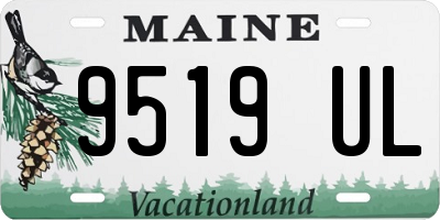 ME license plate 9519UL