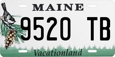 ME license plate 9520TB