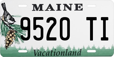 ME license plate 9520TI