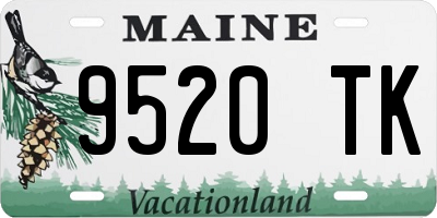 ME license plate 9520TK