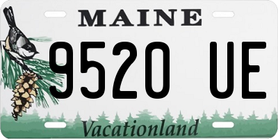 ME license plate 9520UE
