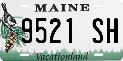 ME license plate 9521SH