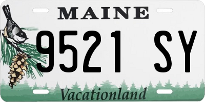 ME license plate 9521SY